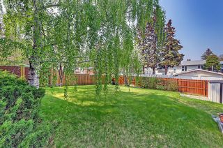 Photo 26: 83 Brazeau Crescent SW in Calgary: Braeside Detached for sale : MLS®# A2049283