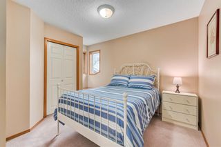 Photo 22: 48 Thorndale Close SE: Airdrie Detached for sale : MLS®# A1197664