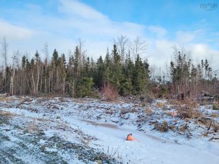 Photo 5: Lot 21-3 Waterside Drive in Waterside: 108-Rural Pictou County Vacant Land for sale (Northern Region)  : MLS®# 202400763