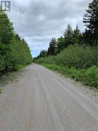 Photo 6: Lot 15-B Burchills Flats in St. Martins: Vacant Land for sale : MLS®# NB088664