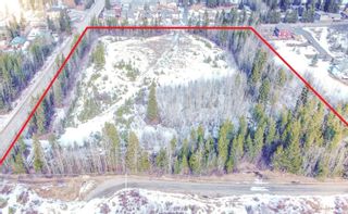 Photo 2: 8318 BUNCE Road in Prince George: Haldi Land Commercial for sale (PG City South (Zone 74))  : MLS®# C8043025