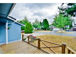 Photo 18: 9075 144A Street in Surrey: Bear Creek Green Timbers House for sale in "BARCLAY WYND" : MLS®# F1447603