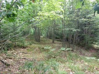 Photo 6: Lot 1N Highway 325 in West Clifford: 405-Lunenburg County Vacant Land for sale (South Shore)  : MLS®# 202220360