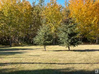 Photo 42: RR 221 Twp Rd 594: Rural Thorhild County House for sale : MLS®# E4315638
