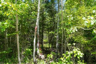Photo 23: Lot 8 Old Renfrew Road in Upper Rawdon: 105-East Hants/Colchester West Vacant Land for sale (Halifax-Dartmouth)  : MLS®# 202306243