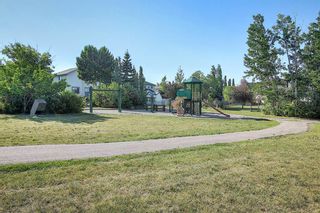 Photo 45: 131 Bridlewood Circle SW in Calgary: Bridlewood Detached for sale : MLS®# A1126092