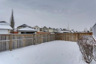 Photo 34: 11874 COVENTRY HILLS Way NE in Calgary: Coventry Hills Detached for sale : MLS®# C4288249