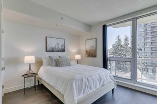 Photo 11: 501 817 15 Avenue SW in Calgary: Beltline Apartment for sale : MLS®# A2125757