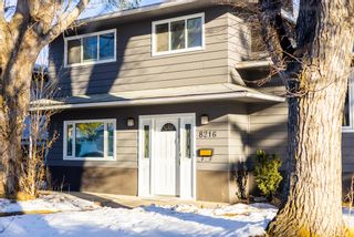 Photo 31: 8216 Churchill Drive SW in Calgary: Chinook Park Detached for sale : MLS®# A2018700