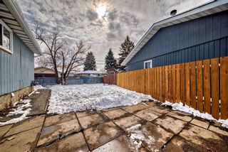 Photo 28: 176 Dovely Crescent SE in Calgary: Dover Detached for sale : MLS®# A2118047