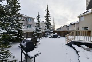 Photo 38: 136 Royal Birch Terrace NW in Calgary: Royal Oak Detached for sale : MLS®# A1179426