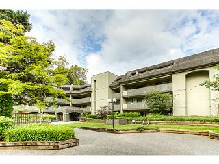 Photo 18: 217 1200 PACIFIC Street in Coquitlam: North Coquitlam Condo for sale in "GLENVIEW MANOR" : MLS®# V1070671