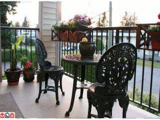 Photo 9: 234 2821 TIMS Street in Abbotsford: Abbotsford West Condo for sale : MLS®# F1219104