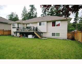 Photo 10: 23732 116TH Avenue in Maple_Ridge: Cottonwood MR House for sale (Maple Ridge)  : MLS®# V655432