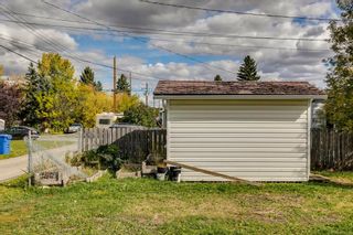 Photo 24: 204 Windsor Avenue in Diamond Valley: A-7662 Detached for sale : MLS®# A2144870