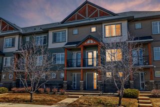 Photo 47: 248 Skyview Ranch Way NE in Calgary: Skyview Ranch Row/Townhouse for sale : MLS®# A2124749