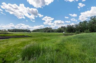 Photo 7: 51232 RGE RD 260: Rural Parkland County House for sale : MLS®# E4250347