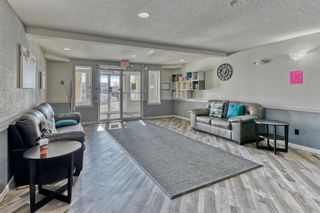 Photo 3: 409 1717 60 Street SE in Calgary: Red Carpet Apartment for sale : MLS®# A2010861
