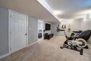 Photo 44: 1235 King's Heights Road SE: Airdrie Detached for sale : MLS®# A2126294