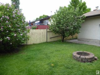 Photo 25: 17231 104 Street in Edmonton: Zone 27 House for sale : MLS®# E4299734