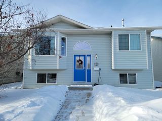 Photo 1: 41 Duckering Close: Red Deer Detached for sale : MLS®# A2022645