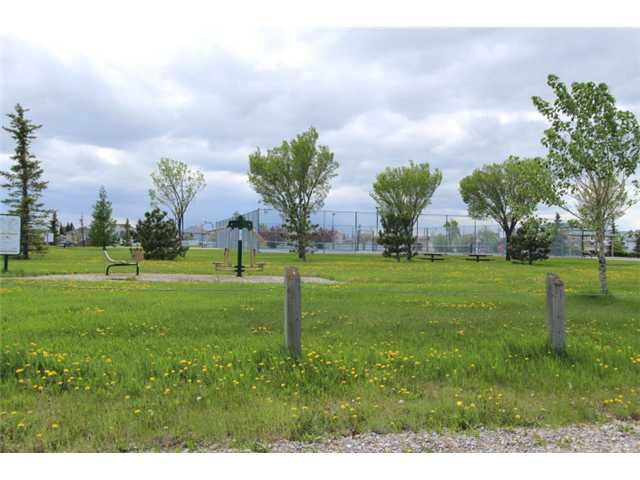 Photo 20: Photos: 31 APPLERIDGE Green SE in CALGARY: Applewood Residential Detached Single Family for sale (Calgary)  : MLS®# C3620379