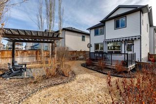 Photo 45: 39 Silverado Skies Manor SW in Calgary: Silverado Detached for sale : MLS®# A2122875