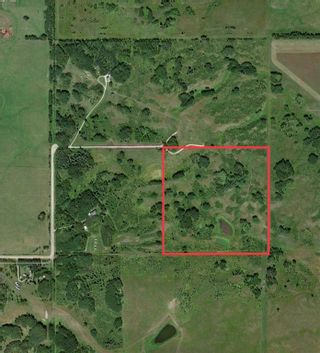 Photo 23: TWP RD 272 & RR 41 in Rural Rocky View County: Rural Rocky View MD Residential Land for sale : MLS®# A2012705