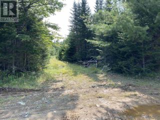Photo 8: Lot 1 Hill Road|PID#70268198 in Beech Hill Farms: Vacant Land for sale : MLS®# 202318977