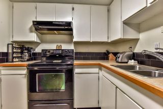 Photo 14: 105 225 MOWAT Street in New Westminster: Uptown NW Condo for sale in "THE WINDSOR" : MLS®# R2295309