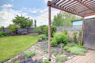 Photo 33: 56 Mckenna Crescent SE in Calgary: McKenzie Lake Detached for sale : MLS®# A1230523