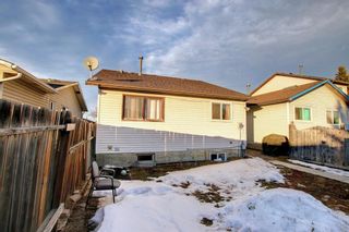 Photo 36: 3727 44 Avenue NE in Calgary: Whitehorn Detached for sale : MLS®# A1172903