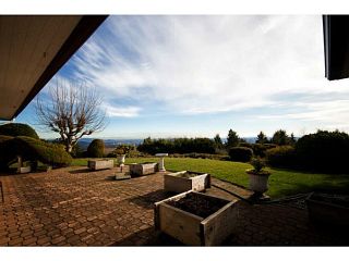Photo 3: 1101 GILSTON RD in West Vancouver: British Properties House for sale