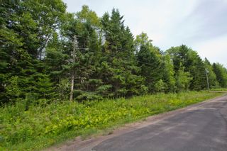 Photo 4: Lot Green Road: Westcock Vacant Land for sale (Sackville)  : MLS®# M106566