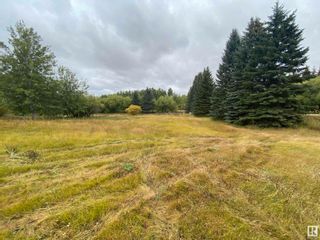 Photo 9: 6 52019 RGE RD 20: Rural Parkland County Rural Land/Vacant Lot for sale : MLS®# E4314044