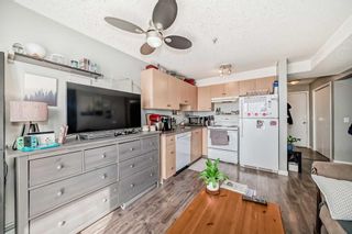 Photo 11: 3306 1620 70 Street SE in Calgary: Applewood Park Apartment for sale : MLS®# A2123526