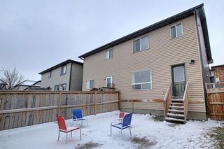 Photo 25: 50 Skyview Point Link NE in Calgary: Skyview Ranch Semi Detached for sale : MLS®# A1039930