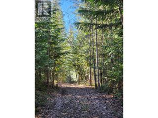 Photo 19: 712 Grange Road in Enderby: Vacant Land for sale : MLS®# 10310045