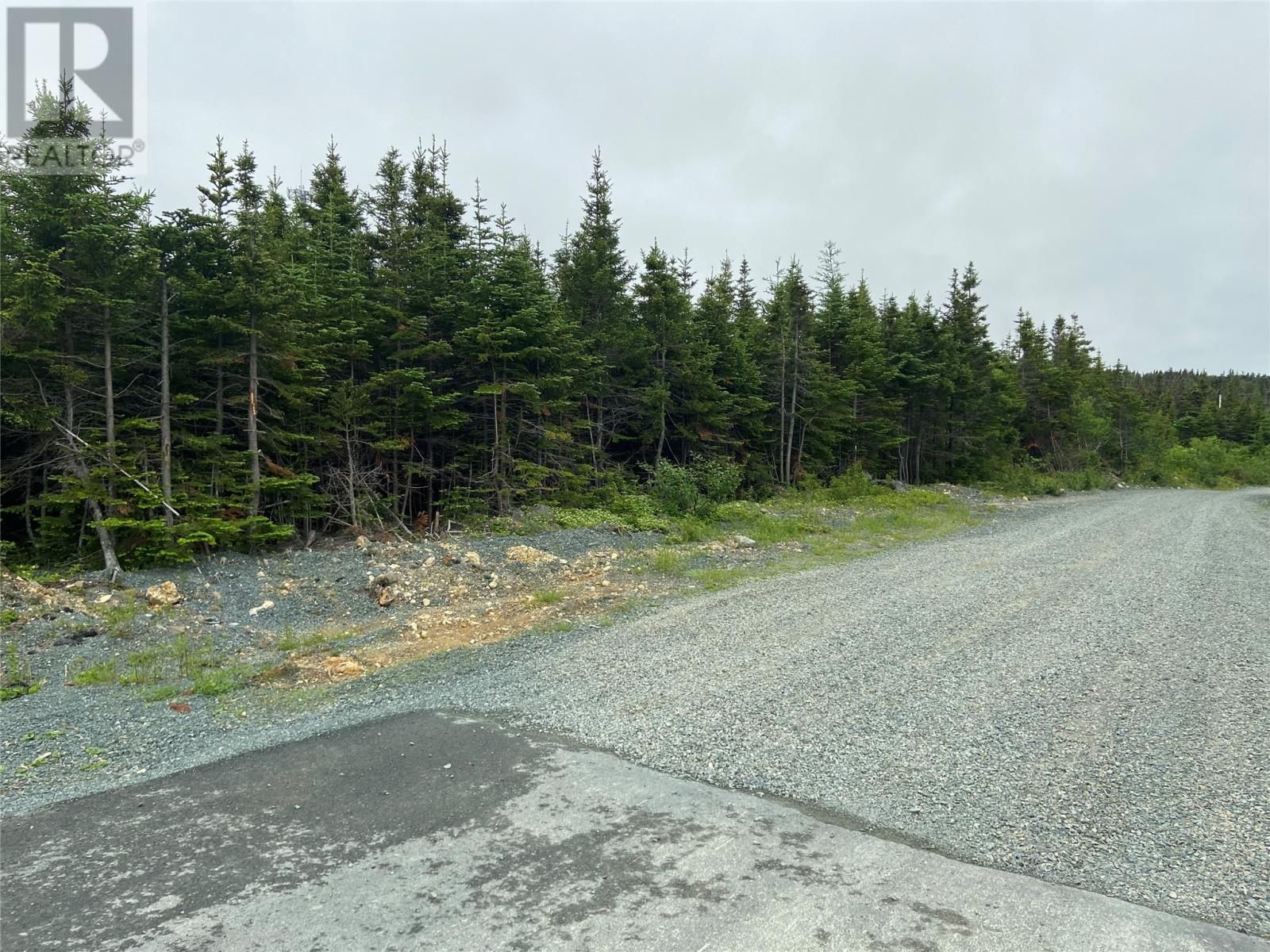 Main Photo: 45-61 Robin's Pond Hill Road in Torbay: Vacant Land for sale : MLS®# 1248539