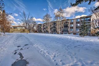 Photo 2: 513 8948 Elbow Drive SW in Calgary: Haysboro Apartment for sale : MLS®# A2106950