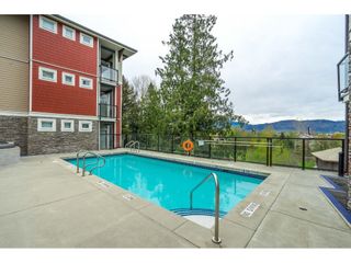 Photo 30: 315 2238 WHATCOM Road in Abbotsford: Abbotsford East Condo for sale in "Waterleaf" : MLS®# R2677652