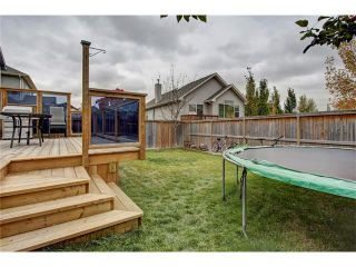 Photo 44: 43 BRIGHTONSTONE Grove SE in Calgary: New Brighton House for sale : MLS®# C4085071