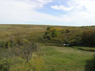 Photo 12: 242042 Township RD 264: Rural Wheatland County Detached for sale : MLS®# C4272839