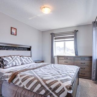 Photo 31: 3 Skyview Springs Manor NE in Calgary: Skyview Ranch Detached for sale : MLS®# A2036422