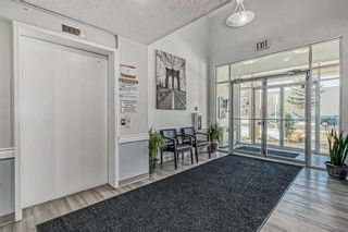 Photo 24: 110 5555 Falsbridge Drive NE in Calgary: Falconridge Apartment for sale : MLS®# A2018312