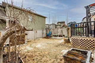 Photo 21: 20 Hillcrest Link SW: Airdrie Detached for sale : MLS®# A1179343