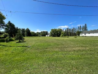 Photo 3: 229 Notre Dame Street in Winnipegosis: R31 Residential for sale (R31 - Parkland)  : MLS®# 202318661