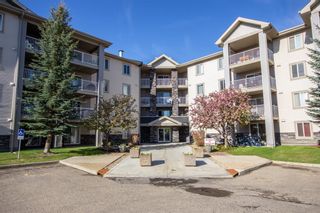 Photo 25: 319 60 Lawford Avenue: Red Deer Apartment for sale : MLS®# A2028799
