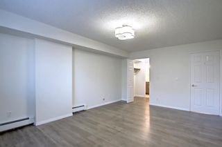 Photo 15: 202 225 25 Avenue SW in Calgary: Mission Apartment for sale : MLS®# A1163942
