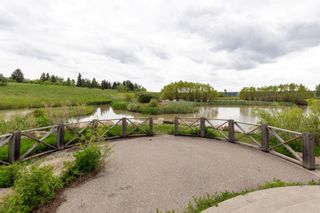 Photo 42: 3708 Underhill Drive NW in Calgary: University Heights Detached for sale : MLS®# A1230743